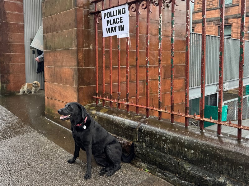 A soggy Phoebe outside the Notre Dame Primary School polling place in Glasgow's West End.