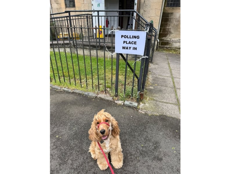 Two-year-old Vinnie outside the Cardonald Parish Church polling station in Glasgow.
