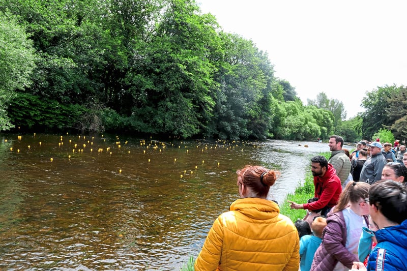PICTURES: Were you at the June Fest St Mark's Duck Race in Newbridge ...