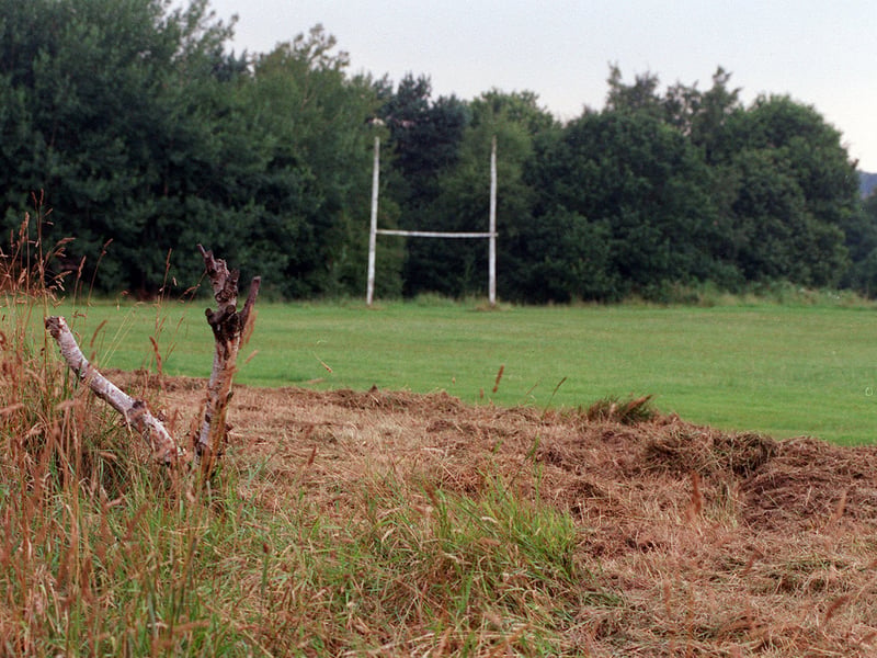 The community was in uproar in August 1999 over wildlife loss from council mowing at Moortown Rugby Club.