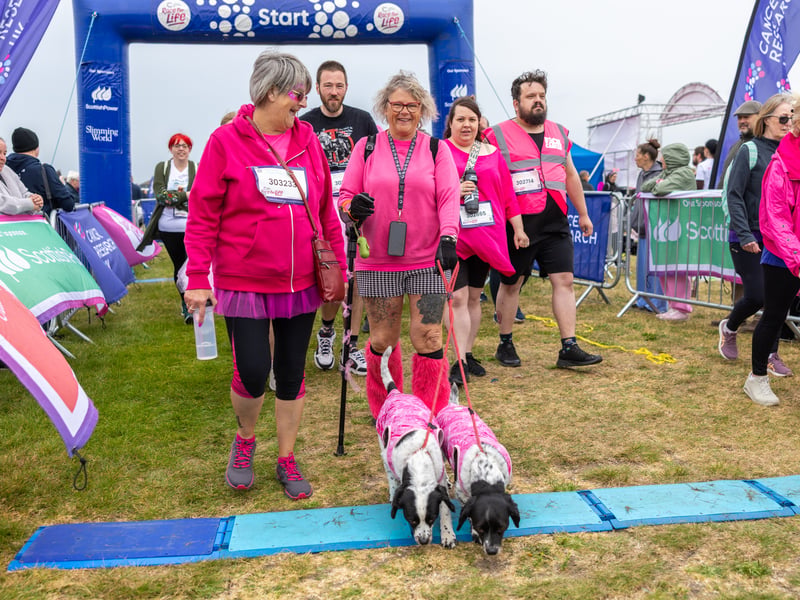 Dogs get ready for the 10k