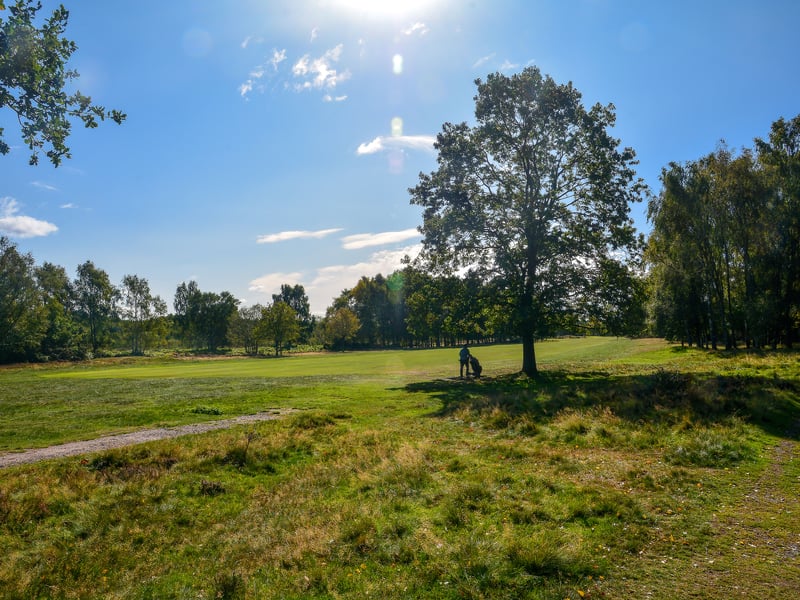 For those who love green spaces, Sutton Coldfield is the place for you as it's the location of Sutton Park. It's an affluent town, with lots of lovely shops. 