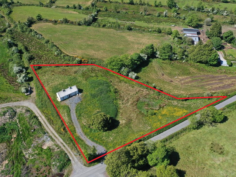 Lavender Cottage in Lavender Cottage in Leitrim, Corriga has gone up for the astonishingly low price of €50,000. The property is partially renovated, with a new corrugated roof, a water connection and a septic tank on site. A savvy buyer will see that there is much to be desired in the condition of the house’s walls. Auctioneer Joe Brady said this cottage is a prime candidate for the Vacant Property Refurbishment Scheme and that “there are things that aren’t visually apparent” done to the property which add value to the listing. “Put another €100,000 into the house, and you’ll have a lovely home for €150,000”, said the seller. Read More: Leitrim Eurovision winner weighs in on RTÉ boycott of competition if Israel competes Brady estimates that the house was built in the 1950s, and said that there has been a large interest in the property since it has gone on the market. He estimates that the property could sell for up to €60,000. The large 1.5 acre site is located in a “rural and tranquil setting”, close to the Cavan border and Carrick-on-Shannon. The house is a two kilometer walk from the village of Aughavas, which is home to a local pub, church, sports ground and national school. The listing on Daft.ie reads: “The elevated site gives excellent views of Sliabh an Iarainn and the surrounding countryside." “Accommodation in brief comprises entrance hallway, living area, three potential bedrooms and potential for bathroom.” REA Brady auctioneers considers the run-down house to be a “gem”.