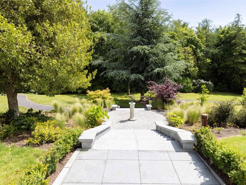 KILDARE We want your photos to feature on the website via our Camera Club. Do you have a great photo from life in the locality? Whether it’s a party, wedding, communion, landscape, a quirky shot from your archives, or a simple everyday moment, we want your snapshots. We are inviting people to share photos that capture the spirit of the county. From special occasions to quieter moments, your pictures help tell the story of everyday life in our community. To submit: Go to the Camera Club page and follow the instructions to upload your photo. Include your name, where it was taken, and a short caption if you can. Your photo could be featured on our website and newspaper and seen by readers across the county and beyond. TAP HERE TO SUBMIT YOUR PICTURES TODAY