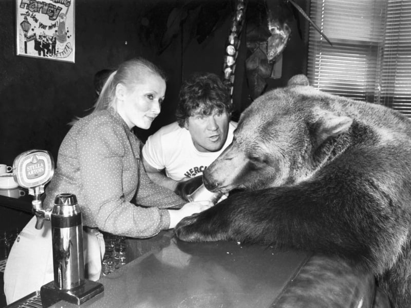 Andy Robbin brings Hercules the bear for a pint of beer at Beacons Hotel, Glasgow, in May 1981