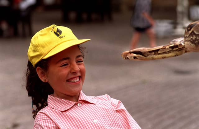 This young visitor to Harwood House met a Boa Constrictor on a Meet the Giant Snakes workshop at the Travelling Discovery Centre.