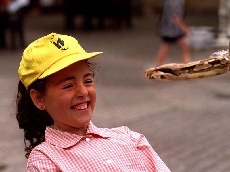 This young visitor to Harwood House met a Boa Constrictor  on a Meet the Giant Snakes workshop at the Travelling Discovery Centre.