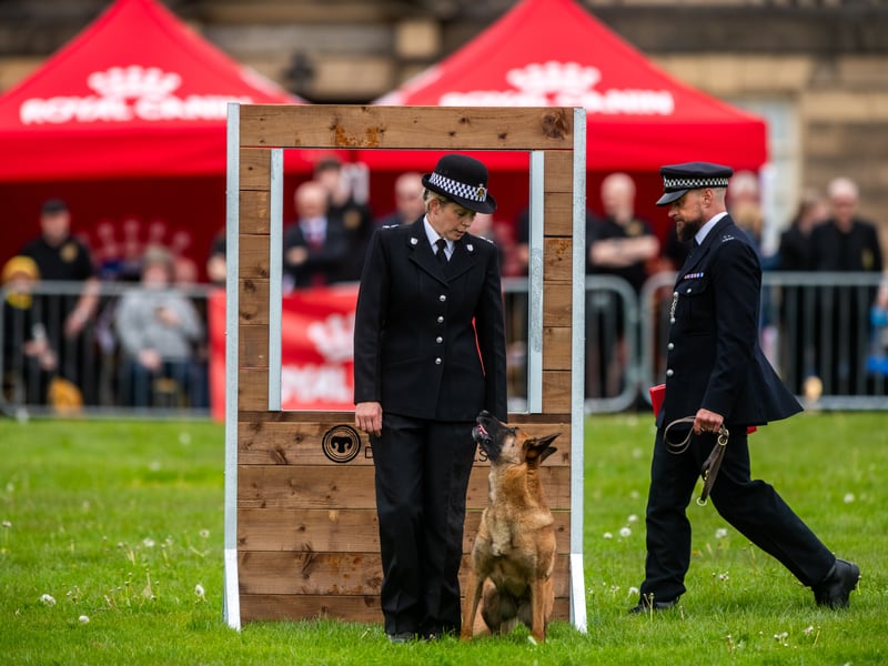 West Yorkshire Police hosted the 64th edition of the annual National Police Dog Trials in Wakefield this weekend.