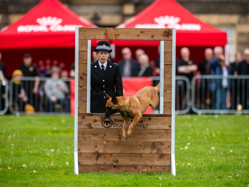 Police dog Raven impressed the family friendly crowd.