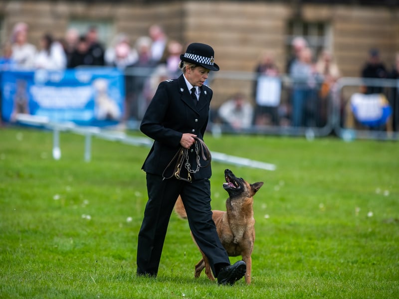 Specialist officers and their trusted canine friends were tested in three phases - tracking a person using their scent, searching an area for hidden suspects, and criminal work, obedience and agility.