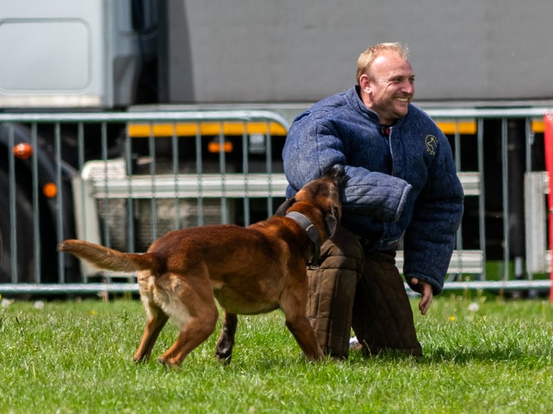 PC Paul Bubb, acting a suspect being stopped by one of the police dogs.