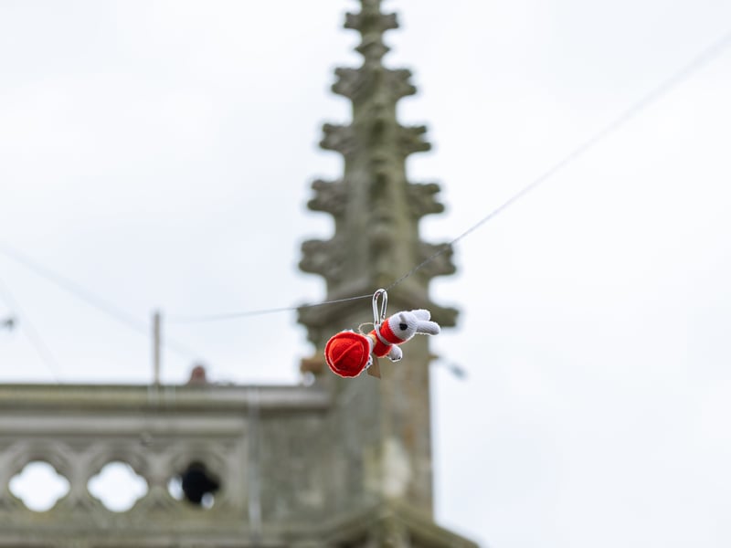 The next teddy bear heads down the zip wire.
