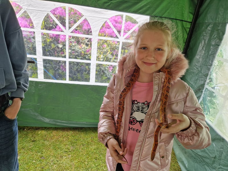 Brave Sheffield youngster Elise Drury posed with a snake around her shoulders at the Scales and Tails stall at the Sheffield May Fayre at Weston Park