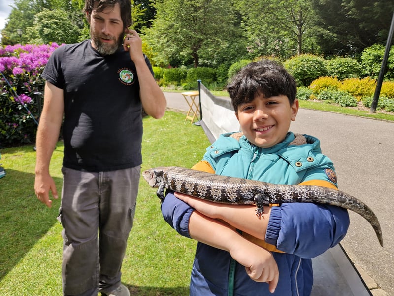 Fearless Radvin Salimi takes a close look at a blue tongued skink, at the Scales and Tails stall at the Weston Park May Fayre, as the Jordanthorpe-based organisation's Declan Torney looks on. Photo: David Kessen, Iconic Media