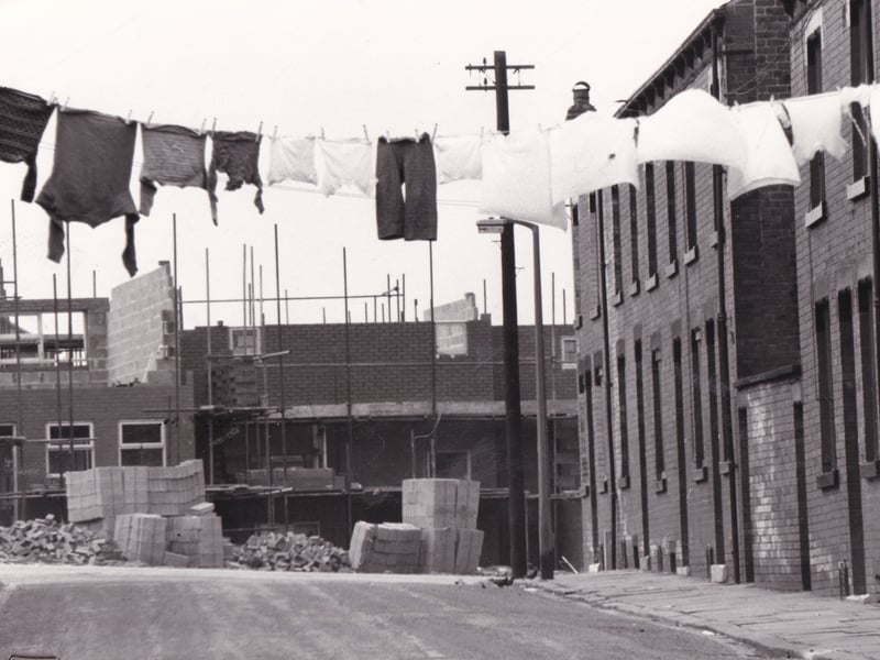 Ancient and modern. New homes rise at the end of the Willoughbys in April 1979.