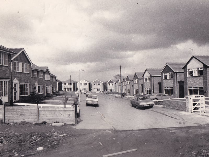 Bruntcliffe Drive pictured in April 1975.