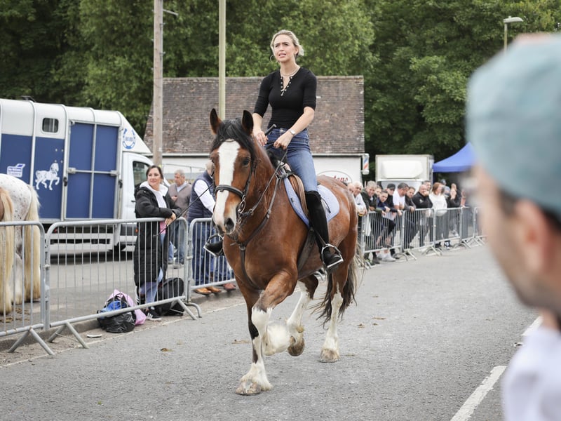 Brilliant pictures from the traditional Wickham horse fair.