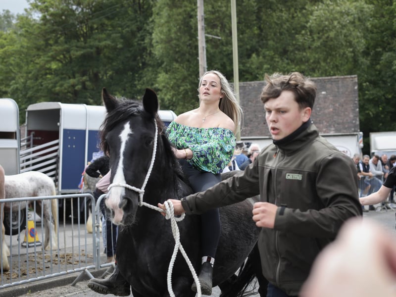 Brilliant pictures from the traditional Wickham horse fair.