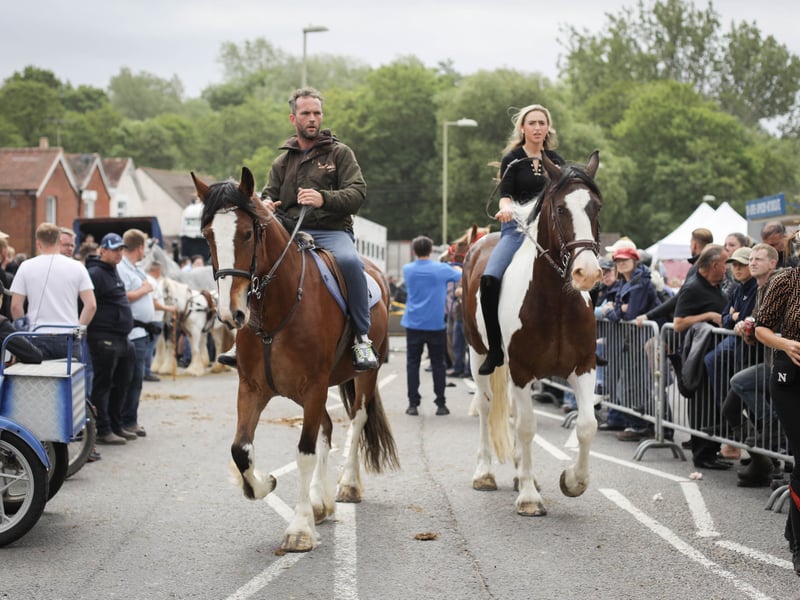 Brilliant pictures from the traditional Wickham horse fair.