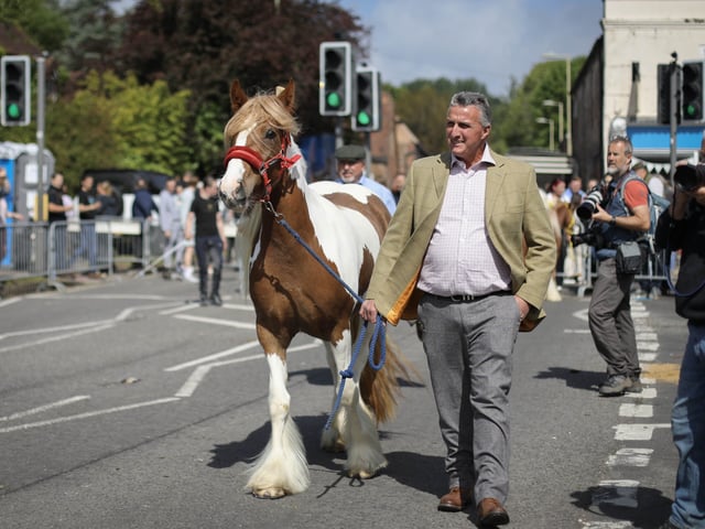 Brilliant pictures from the traditional Wickham horse fair.