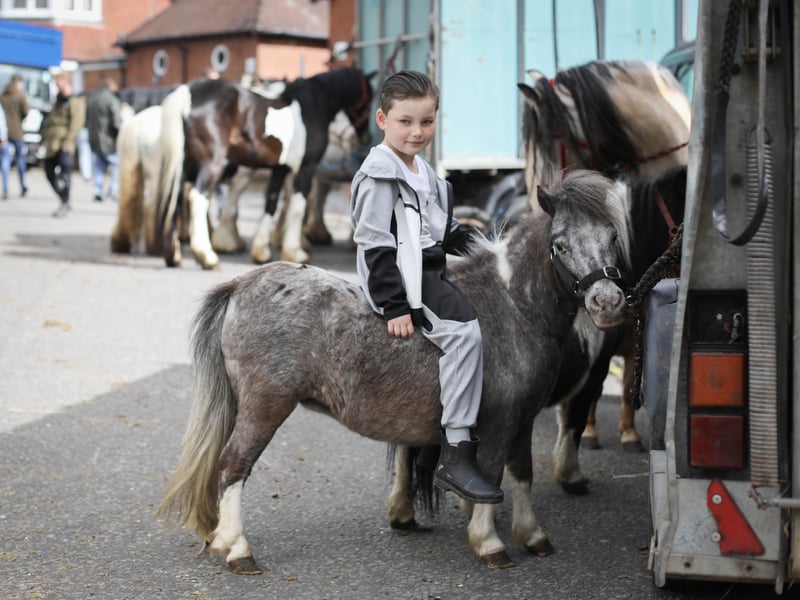 Brilliant pictures from the traditional Wickham horse fair.