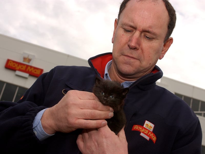 Royal Mail van driver Brian Lord and the kitten he found in a post box in February, 2002. The kitten was adopted by a member of staff at the sorting office in Sighthill.
