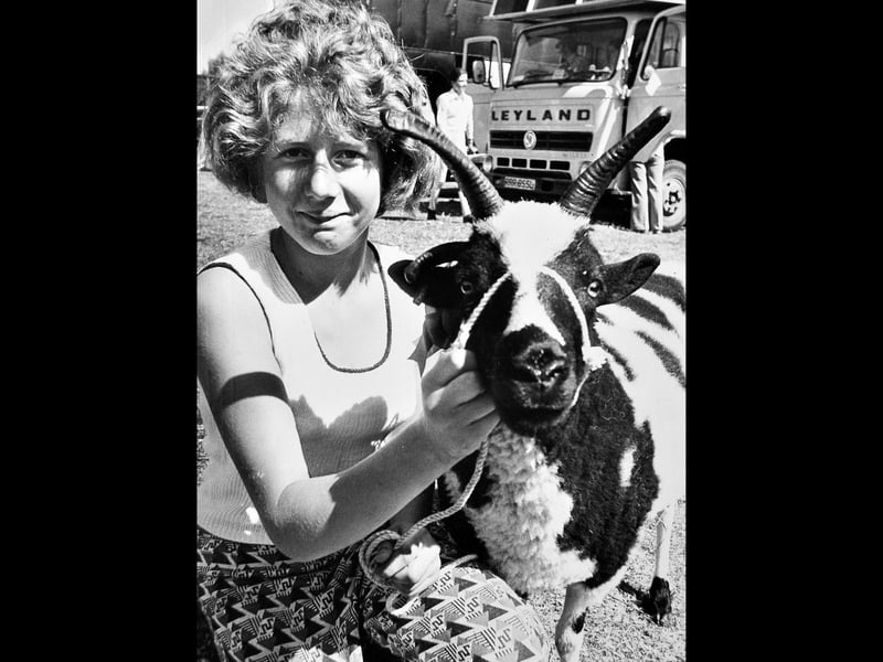 A young Jackie Egerton proudly poses with her champion Jacob sheep ram at Oswestry Show in the scorching summer of 1976. Jackie, from Platt Mill Farm, Ruyton-XI-Towns, was pictured during one of the sunniest and driest Oswestry Shows on record.