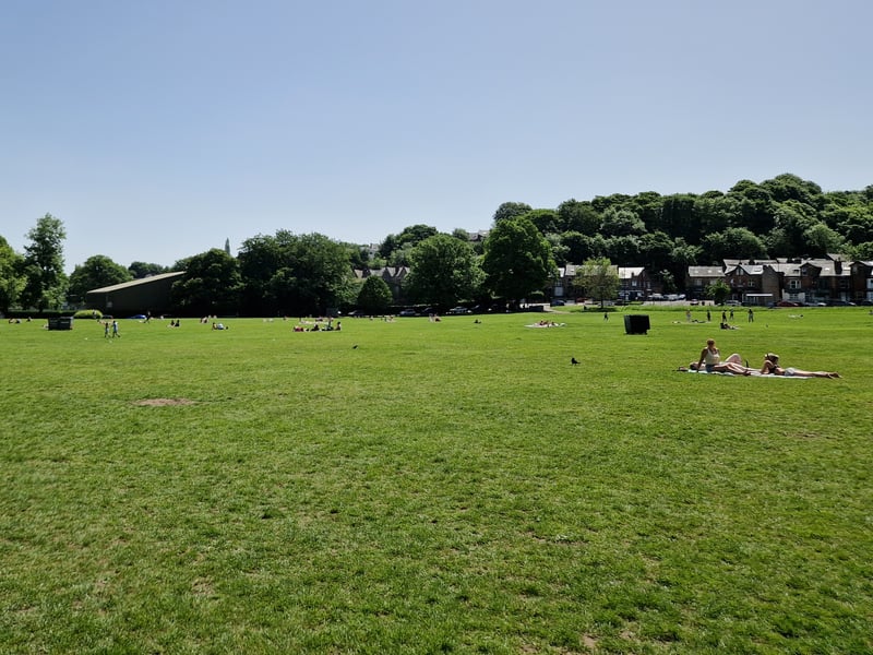 A busy Endcliffe Park basks in the sun. Photo: Iconic Media
