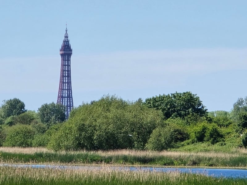 A view of the tower with clear skies above. Picture by Farago Agnes Livia