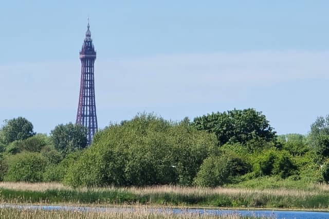 A view of the tower with clear skies above. Picture by Farago Agnes Livia