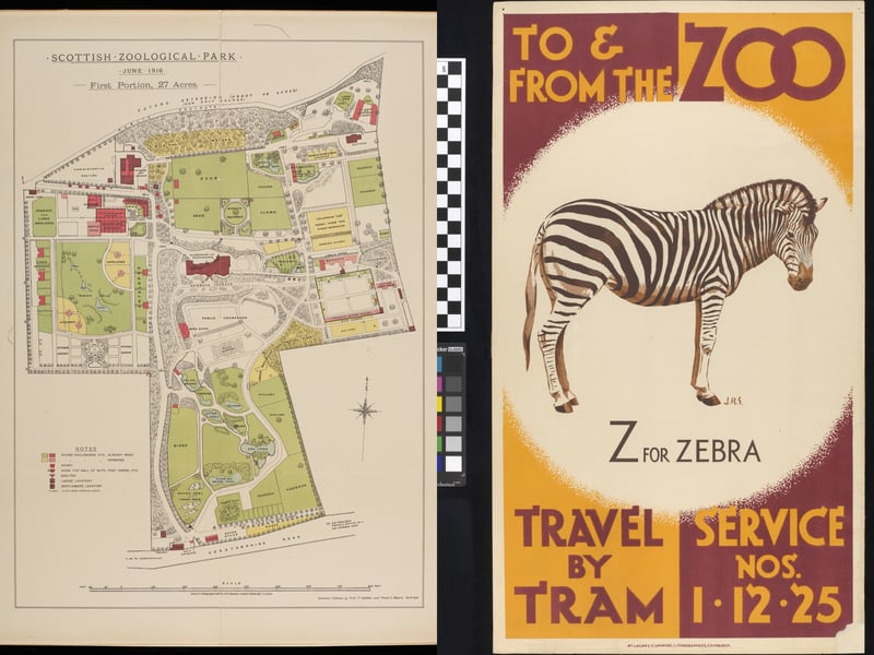 On the left, the first map of Edinburgh Zoo, from 1913. And a tram poster for the zoo from the 1930s.