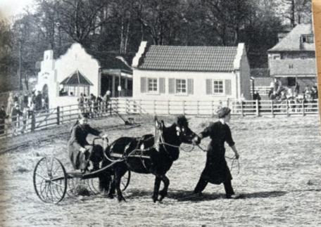 A child on a horse and cart at Edinburgh Zoo in 1958.