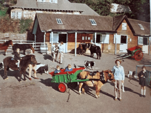 Edinburgh Zoo's children's farm when it opened in 1958.