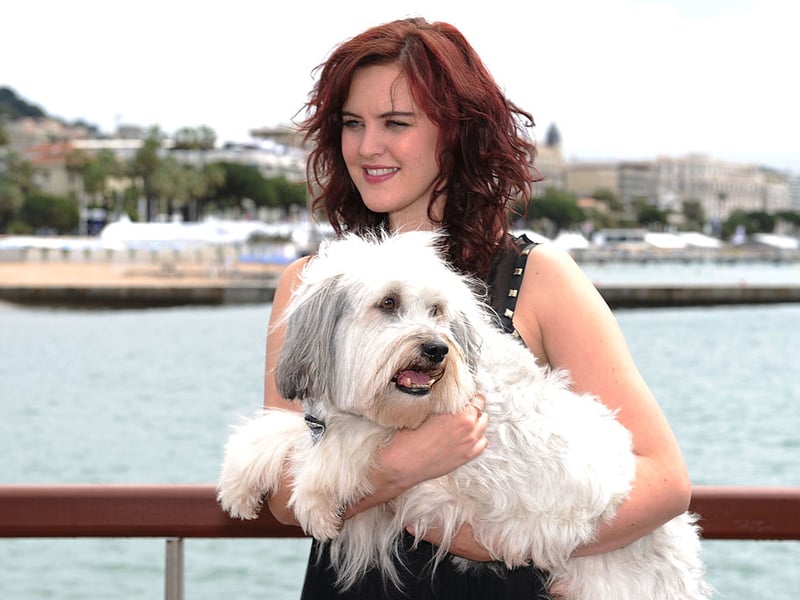 Dog trick act Ashleigh and Pudsey won a record £500,000 for winning the BGT title in 2012. The Border Collie/Bichon Frise/Chinese Crested cross charmed both the judges and the British public with their amazing routines. Good dog.
