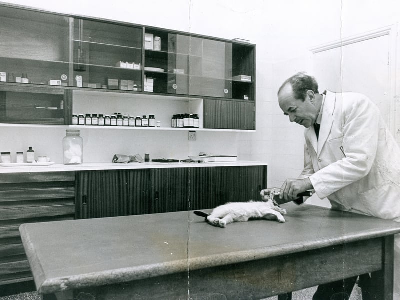 Veterinary surgeon Ronald Lloyd gently examines a poorly cat inside the treatment room at the newly opened People's Dispensary for Sick Animals (PDSA) centre on Broad Street in July 1969. Dressed in his white clinical coat and surrounded by neatly arranged medicine cabinets, the dedicated vet provided essential care to well-loved family pets. The state-of-the-art facility offered free treatment for sick and injured animals, bringing crucial veterinary support to pet owners across Wolverhampton. Did you ever take a beloved family pet to be treated at the Broad Street PDSA centre in Wolverhampton?