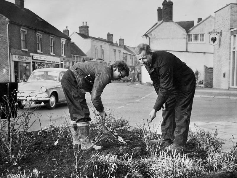 Rose planting outside the Lord Hill pub on December 7, 1966. The image shows Mr Ronald Parr and Mr Arthur Davies of Dawley Urban District Council’s parks department planting roses as part of efforts to brighten the town. The original caption notes they were “working for a brighter Dawley” as they carried out planting outside the pub