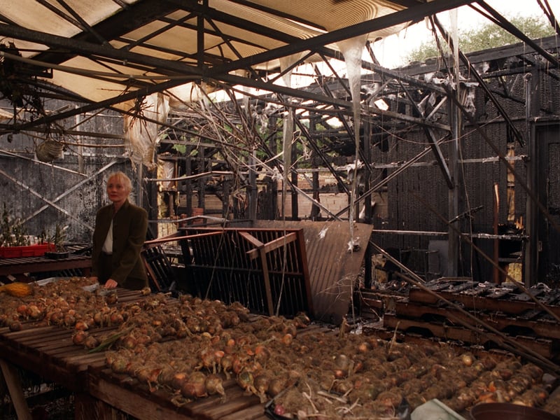 Sue Reddington, director of Meanwood Valley Urban Farm, looks over the damage caused after a fire in the greenhouse and joining potting shed.