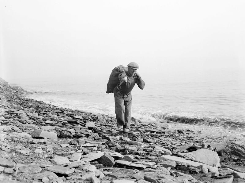 Beach combing for sea coal on seashore at Buckhaven in Fife in October 1959.
