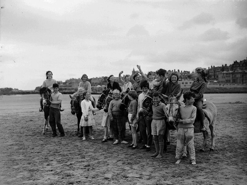 Children on donkeys at St Andrews Beach in July 1961.