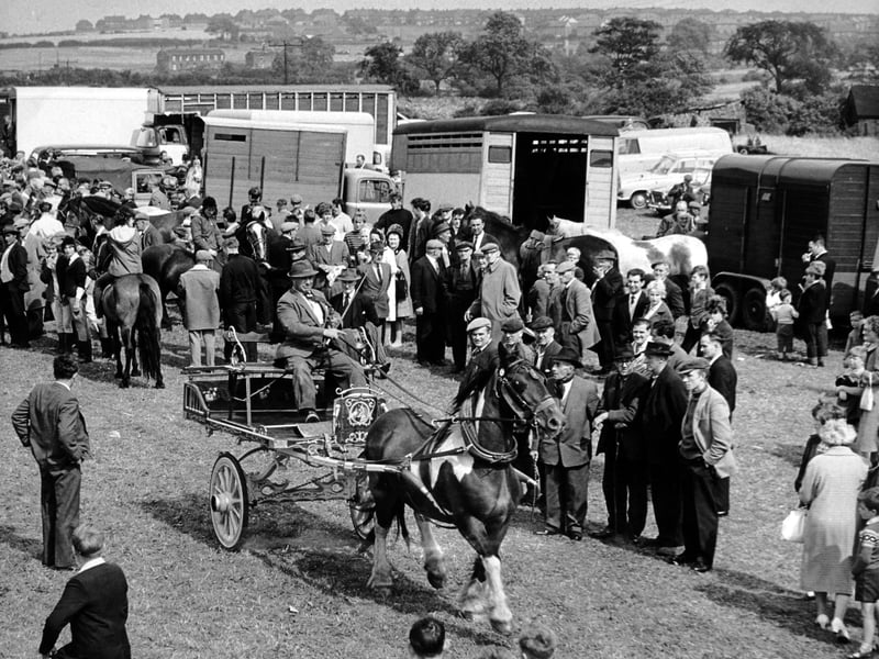 A horse and cart being shown off to the crowd at Lee Gap Fair in August 1964.