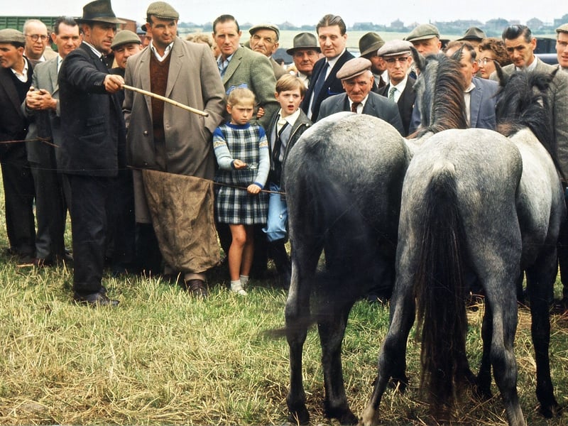 August 1965 and traveller Jimmy Adams pictured selling Welsh Ponies from Abergavenny at Lee Gap Fair, in front of a crowd of onlookers.