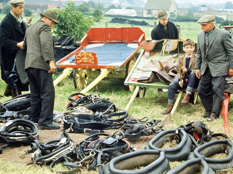 Display of horses' harness and other tackle for sale at Lee Gap Fair in August 1965. There are also some carts in view.