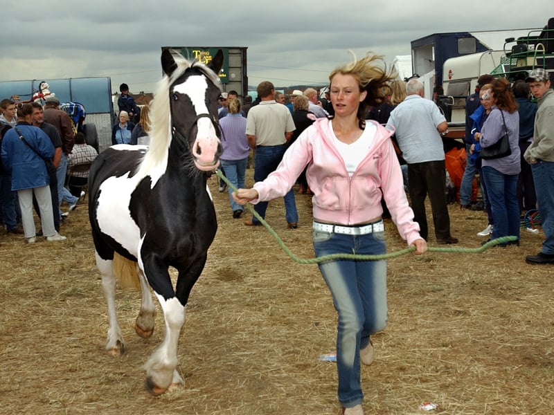 Tara Hampton from South Kirkby trots on with Ebony a three year old coloured filly at Lee Gap Fair in August 2003.
