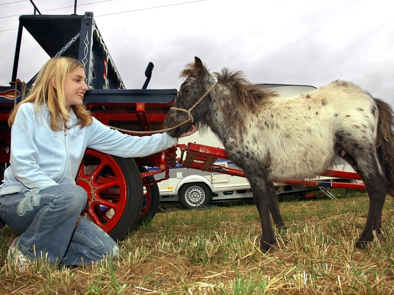 Jess Brenwood 14 from Emley meets up with a young Shetland Pony at Lee Gap Fair in August 2003.