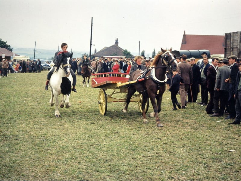 This photo was taken at Lee Gap Fair showing gypsy horses , one pulling a trotting cart brightly painted in red and yellow. Pictured in August 1965.