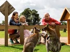 Just outside Leeds,  the major wildlife sanctuary is celebrating the weekend by offering completely free admission to dads, stepdads, and grandads. The special promotion is valid on both Saturday and Sunday when accompanied by any pre-paid guest.  👨 Hurst Ln, Doncaster DN9 3QY