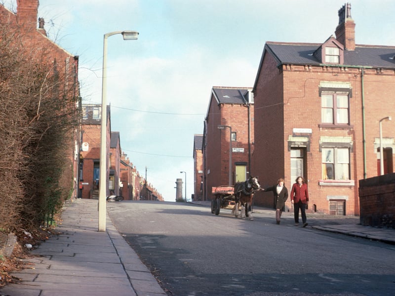Two people walk down Pennington Street with a horse and cart in January 1976. Junctions with Clarkson View, Back Clarkson View and Hartley Grove are seen on the right, while further up on the left are Lucas Street, Back Lucas Street and Lucas Place.