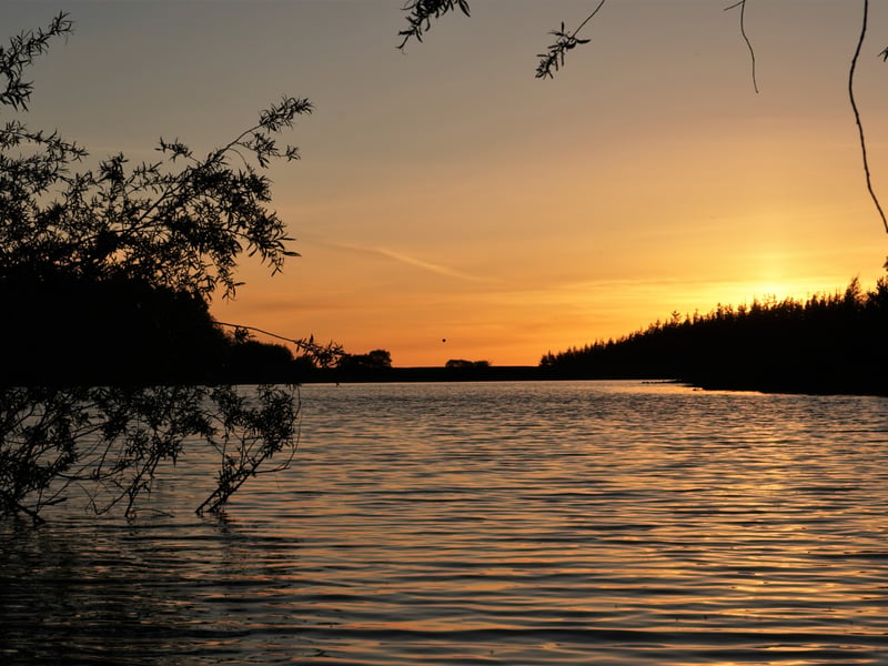 Tramping around the pristine landscapes and picturesque reservoirs of the Pentland Hills Regional Park, in the south-west of Edinburgh, it's hard to believe you're just a few miles from a bustling city centre. The park's Harlaw biodiversity trail gives children the chance to enjoy learning about the local plants and wildlife along the route, while there are plenty of other trails to try depending on time and fitness levels.