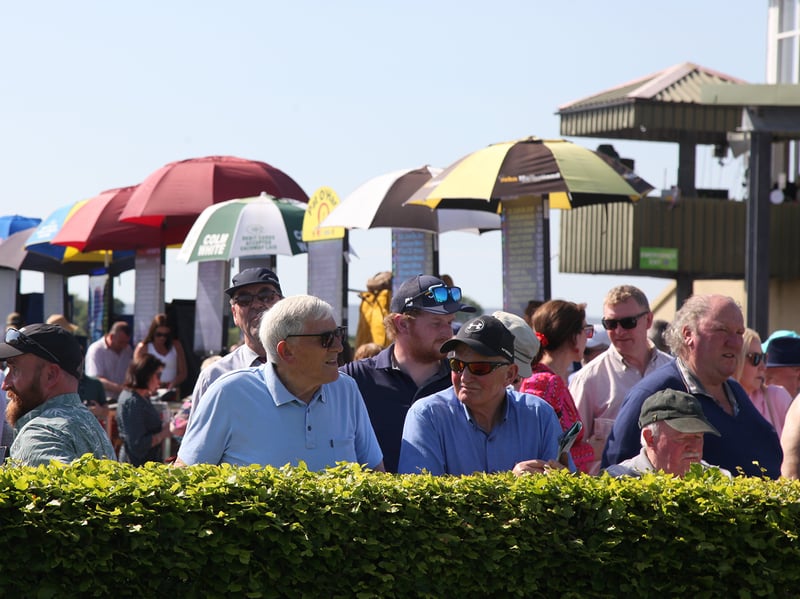 Ballinrobe races crowd picture