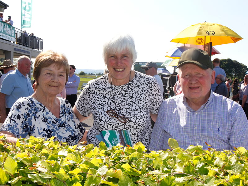 At Ballinrobe Races, pictured were: Left to right: Breege Conroy, Mary Kenny and Henry Dixon.